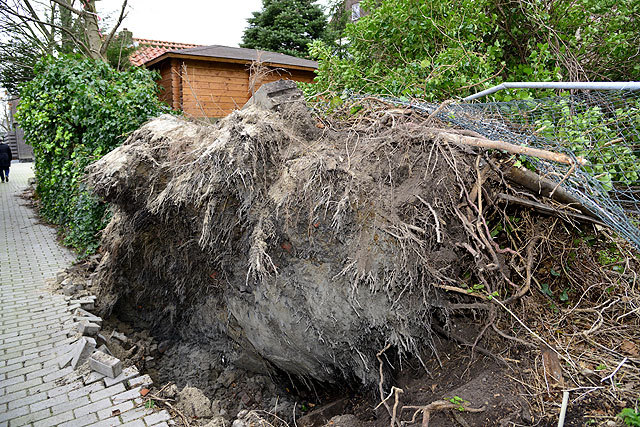 2013/330/GB 20131224c 002 Akerdijk stormschade.jpg